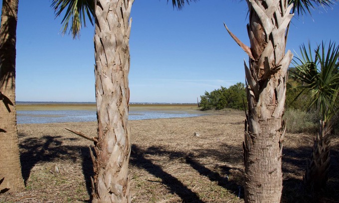Isle of Palms House | Charming House on Private Goat Island ➺ Nature lovers. Accessible only by boat.