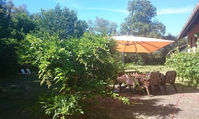 Naujac-Sur-Mer House | Charming little house in the Medoc pine forest