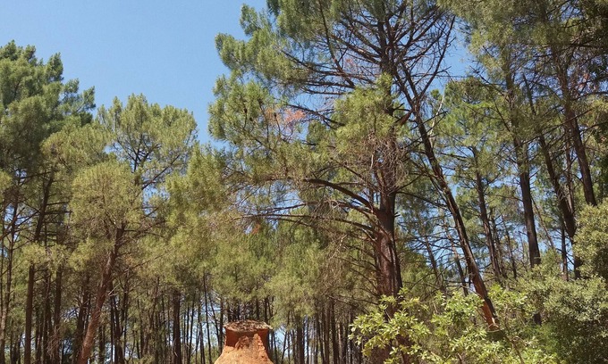 Reilhanette House | Charming restored sheepfold - 2 people