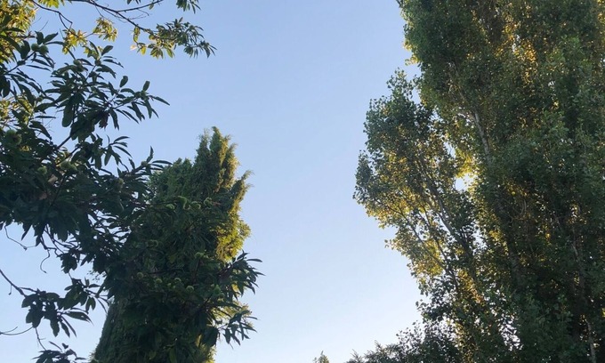 Le Taillan-Medoc House | Charming vintage-style country house 20 minutes from Bordeaux