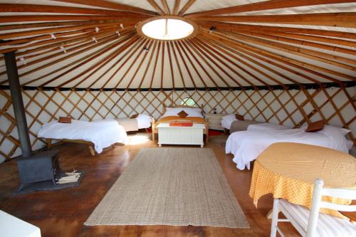 Haslemere Other | Chestnut Yurt