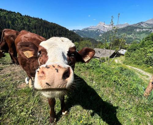 Notre-Dame-de-Bellecombe Apartment | Chez Francine