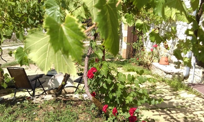 Floirac Bed & Breakfast | Chez Lavergne Table D'Hôtes