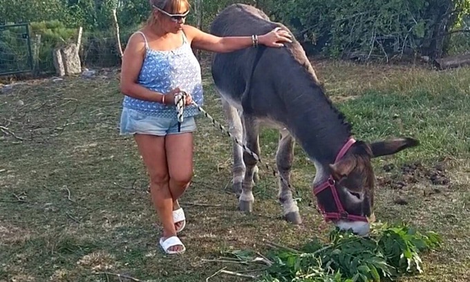 Rieutort-de-Randon House | CHEZ NIKI, your cosy gîte in the heart of the Margeride!