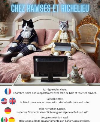 Dufau-Tourasse Bed & Breakfast | Chez Ramsés et Richelieu