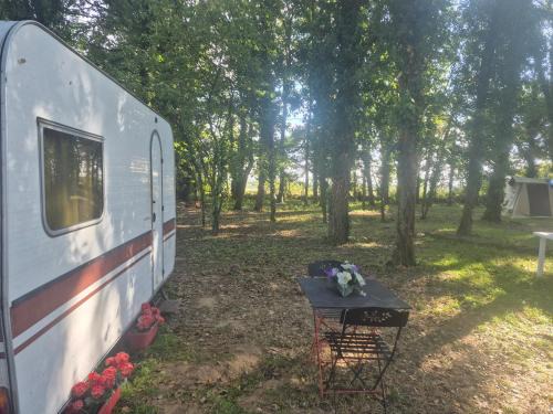 Maxent Other | Chez Vallye