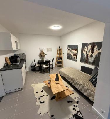 Am Staden Apartment | City Escape Saarbrücken