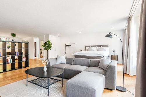 Schaffhausen Apartment | CITY-LOFT 1!Gratis parken, Free parking!