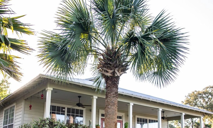 Shalimar House | Classic and Comfy Florida House on the Bayou