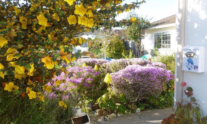 Marina House | Coastal, Beach, Nature, 2 Econo Rooms, 1 Private Bath. Sleeps, 4. Namaste