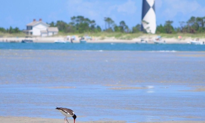 Straits House | Coastal SeaClusion Vacation Rental is located in Down East, Carteret County, NC