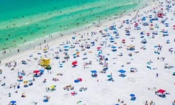 Bee Ridge House | Cocohut in Sarasota Siesta Key