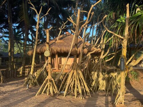 Aturuwella House | Coconut Bar