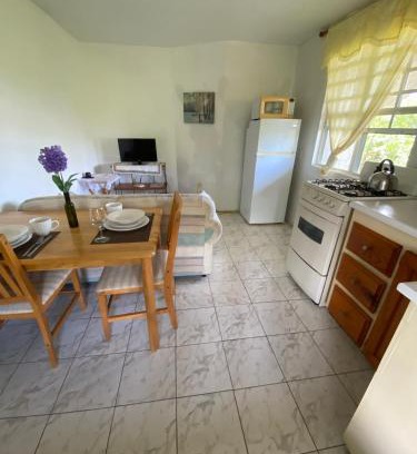 Bath Apartment | Coconut house Charlestown nevis