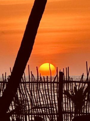 Hettimulla Bed & Breakfast | CocoVilla Boutique Resort