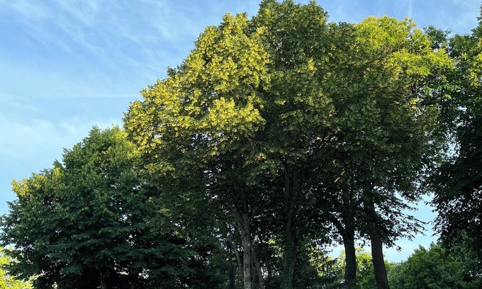 Saint-Cheron House | Coin de Paradis à 1 Heure de Paris