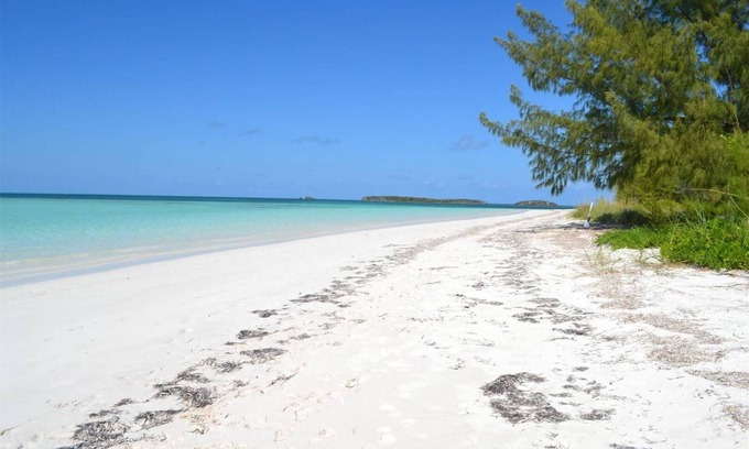 North Palmetto Point Cottage | Come Stay at Sip Sip on BANKS ROAD