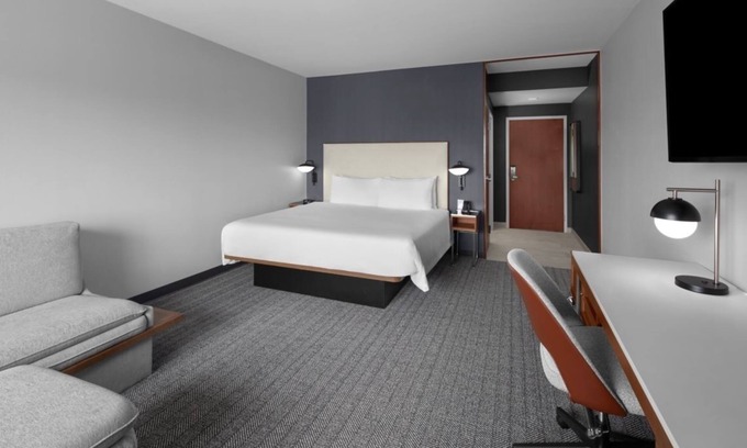 Oldsmar Hotel | Comfort Meets Convenience! Free Parking, Outdoor Pool, Near Tampa Bay Downs