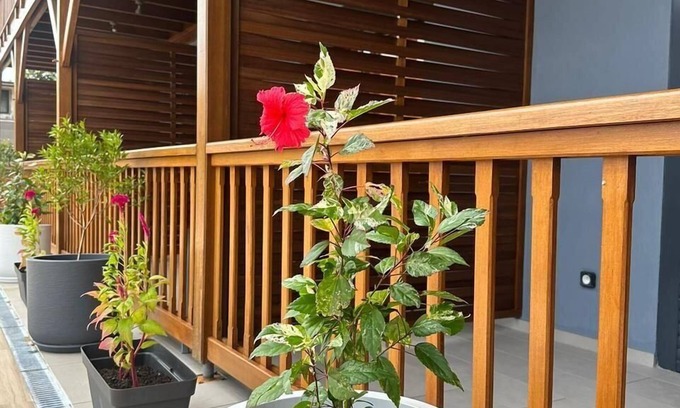 Cayenne House | Complex Montabo Spirit