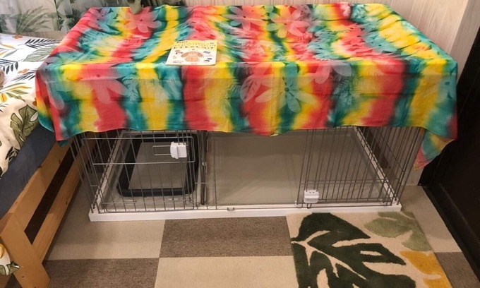 Nakama House | Container house in Kibogaoka Onna village You can also enjoy BBQ and golf practice 2 free parking/Kunigami-gun Okinawa