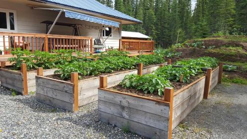 Tok House | Cook's Place