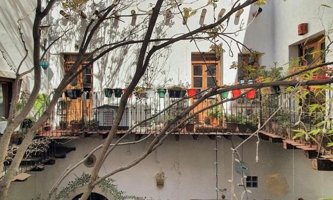 Chihuahua House | Coronado 420