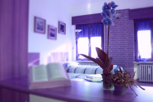 Sud Apartment | Corte Graziella