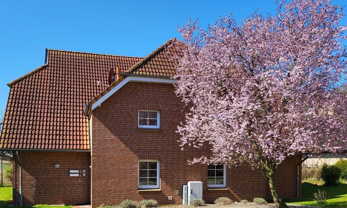Ummanz Apartment | Cosy apartment for 4 people with WIFI, TV, balcony and pets allowed