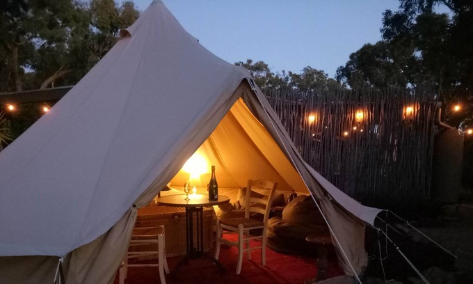 New Gisborne Bed & Breakfast | Cosy Bell Tent With an à la Carte Breakfast and up Close Kangaroo Experience