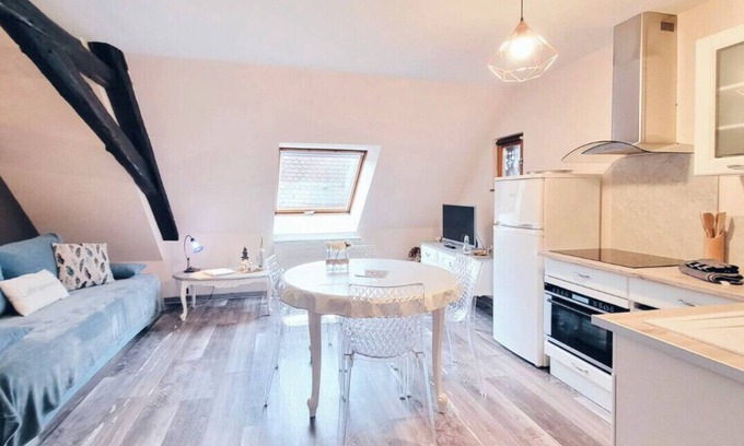 Obernai Apartment | Cosy Duplex Obernai