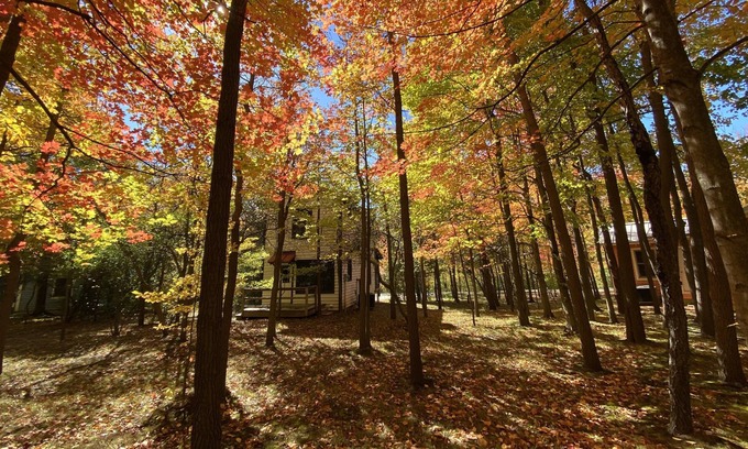 Fennville Cottage | Cottage #8 at DollyBrook just minutes to Saugatuck.