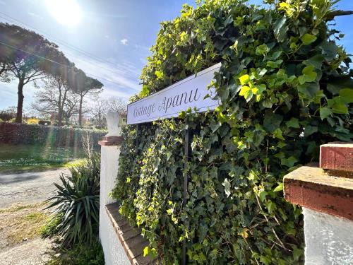 Viterbo House | Cottage Apanu