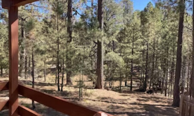 Heber House | Cozy 2 Bedroom Cabin #3