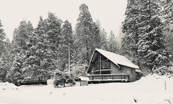 Forest Meadows Cabin | Cozy 4bd, 2bth cabin in Murphys, on 2 acres close to vineyards & Bear Valley!