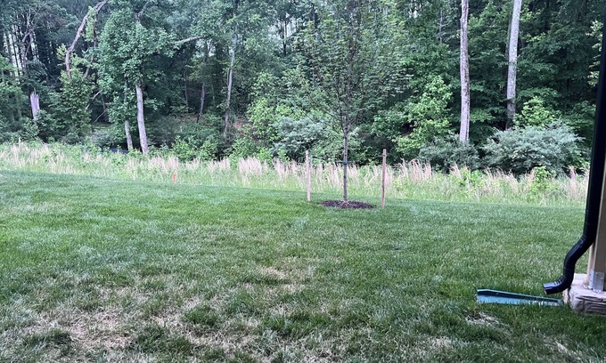 Upper Marlboro Apartment | Cozy apartment with an amazing view