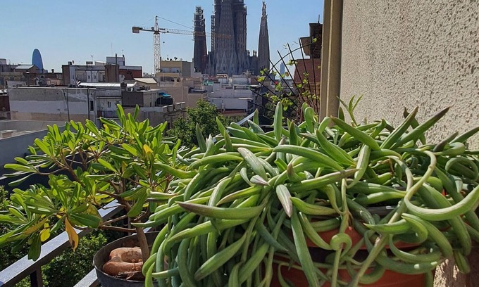 el Camp d'en Grassot i Gracia Nova Apartment | Cozy appartment & Sky view Sagrada Familia