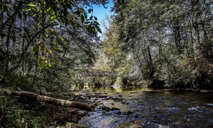 Brevard Cottage | Cozy Brevard Cottage | Fire Pit, Creek Views & Walk to Downtown