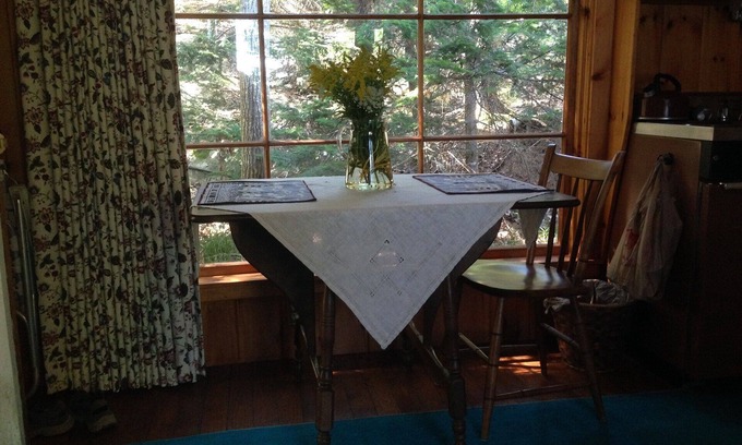 Islesboro Apartment | ~ Cozy Cabin in the woods On Penobscot Bay Right Near the water ~