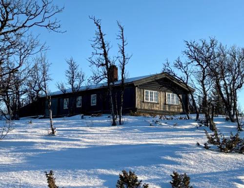 Al Municipality House | Cozy cabin near Geilo & Dagali terrace, grill, fireplace, view & WiFi