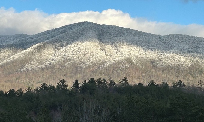 Tellico Plains Cabin | Cozy cabin with a million dollar view of the Cherokee Mountains