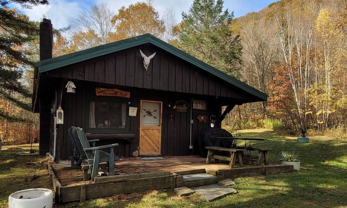 Shinhopple Cabin | Cozy Catskills Cabin: Your perfect rustic getaway - Pet friendly