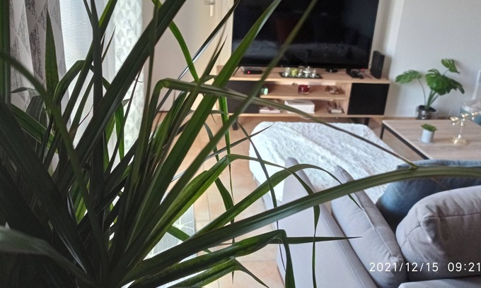 Volonne Apartment | Cozy Appart