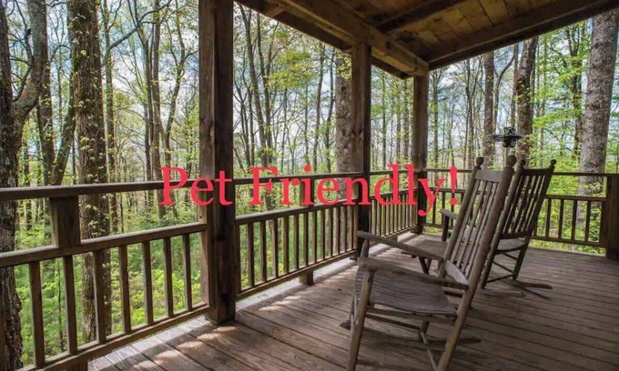 Chimney Rock Cabin | Cozy Guest Cabin Pet Friendly Secluded Peaceful