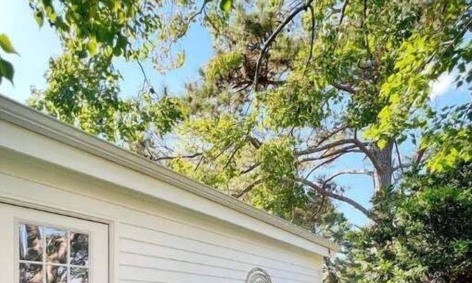 Myrtle Grove House | Cozy loft with parking and private patio with barbecue grill