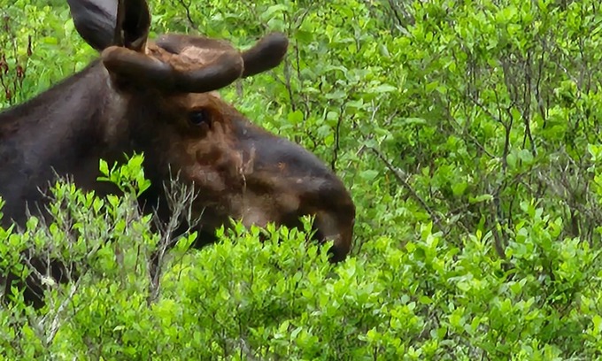 Penobscot County House | Cozy quiet house with rustic vibe. Bedroom with private bathroom for guest use