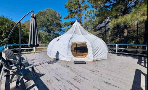 Mc Caskill House | Cozy Stargazer Dome in Crater of Diamonds, Arkansas