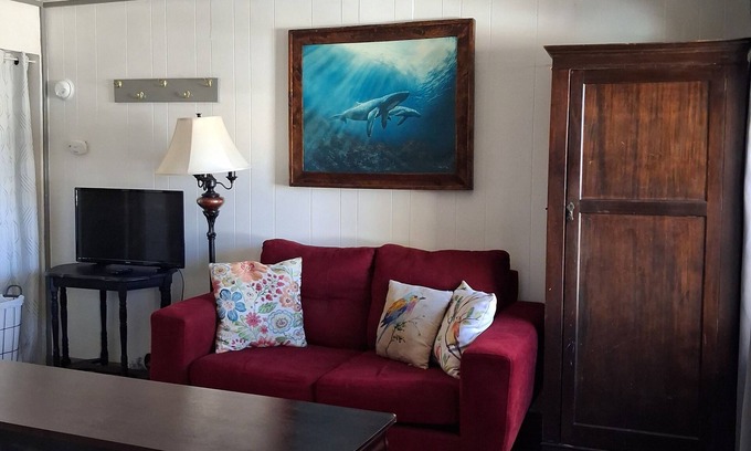 Lake City Apartment | Cozy studio apt.in the heart of town