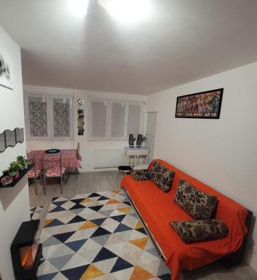 Fleury-les-Aubrais Apartment | Cozy studio, proche gare des aubrais