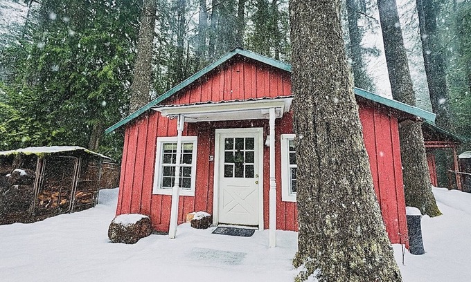 Rhododendron Cabin | Cozy Winter Cabin! Steamy Hot Tub + Classic Woodstove. Mt. Hood Getaway.