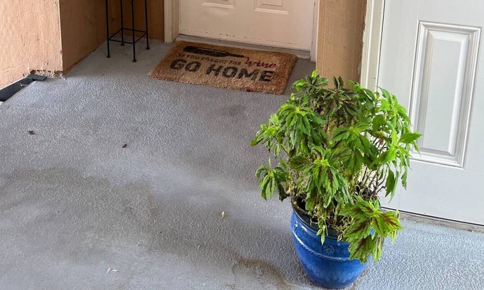 Lafayette Apartment | Cozzy Apt 2 beds 2 baths